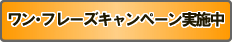 �����E�t���[�Y�L�����y�[�����{��