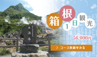 箱根1日観光 55,000円