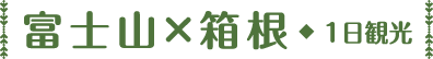 富士山×箱根 1日観光