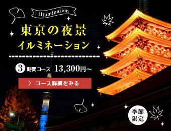 東京の夜景・イルミネーション（季節限定） ３時間コース、13,300円～